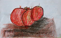 Composition of Apples found in Church yard 1