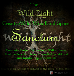 Wild-Taste flyer for Sanctum Wood Camp