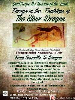 Forage in Footsteps of the Stour Dragon