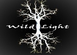 Wild-Light 